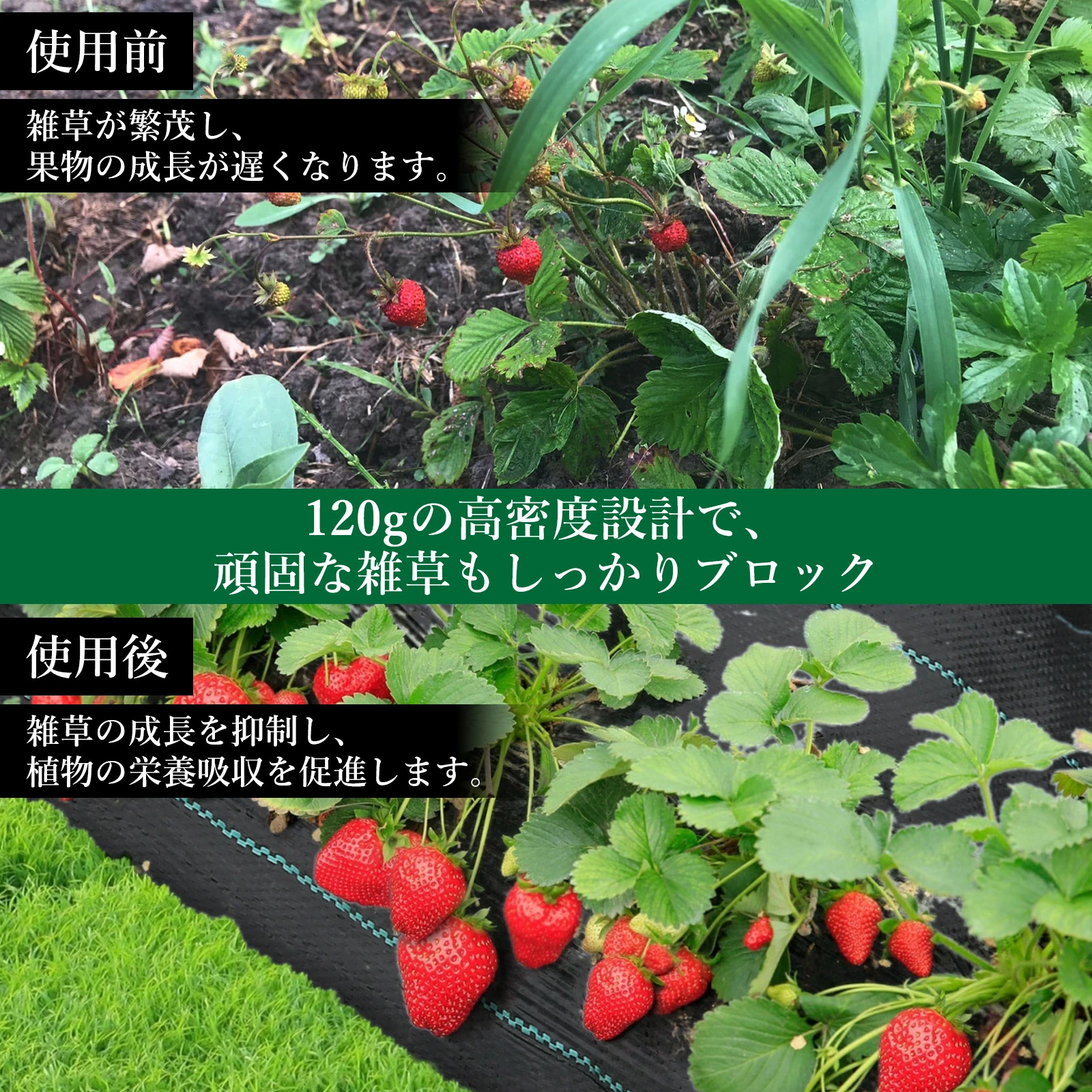 防草シート 高密度120g/平米 高透水 高耐久 厚手 紫外線劣化防止 Uピン杭と黒丸付き 耐用年数は3年 - 画像 (5)