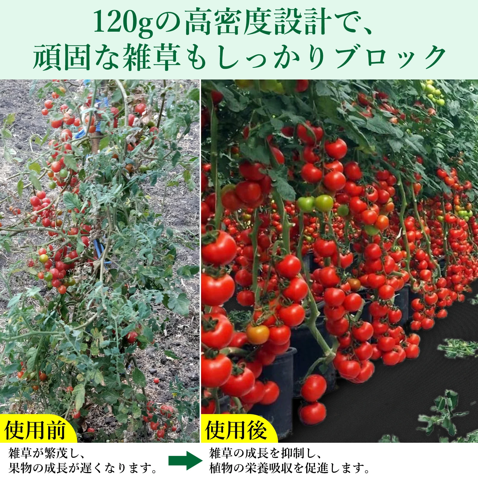 防草シート 除草シート ぼうそうシート 雑草防止シート 高密度120g/平米 不織布 高透水 高耐久 厚手 ロール式 紫外線劣化防止 - 画像 (9)